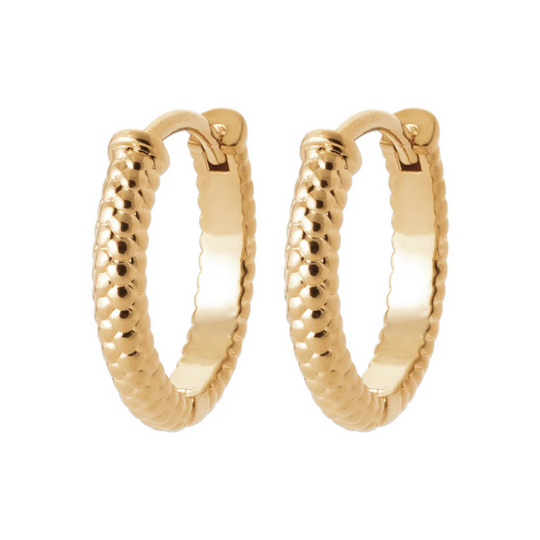 Burren Coiled Earrings (M)