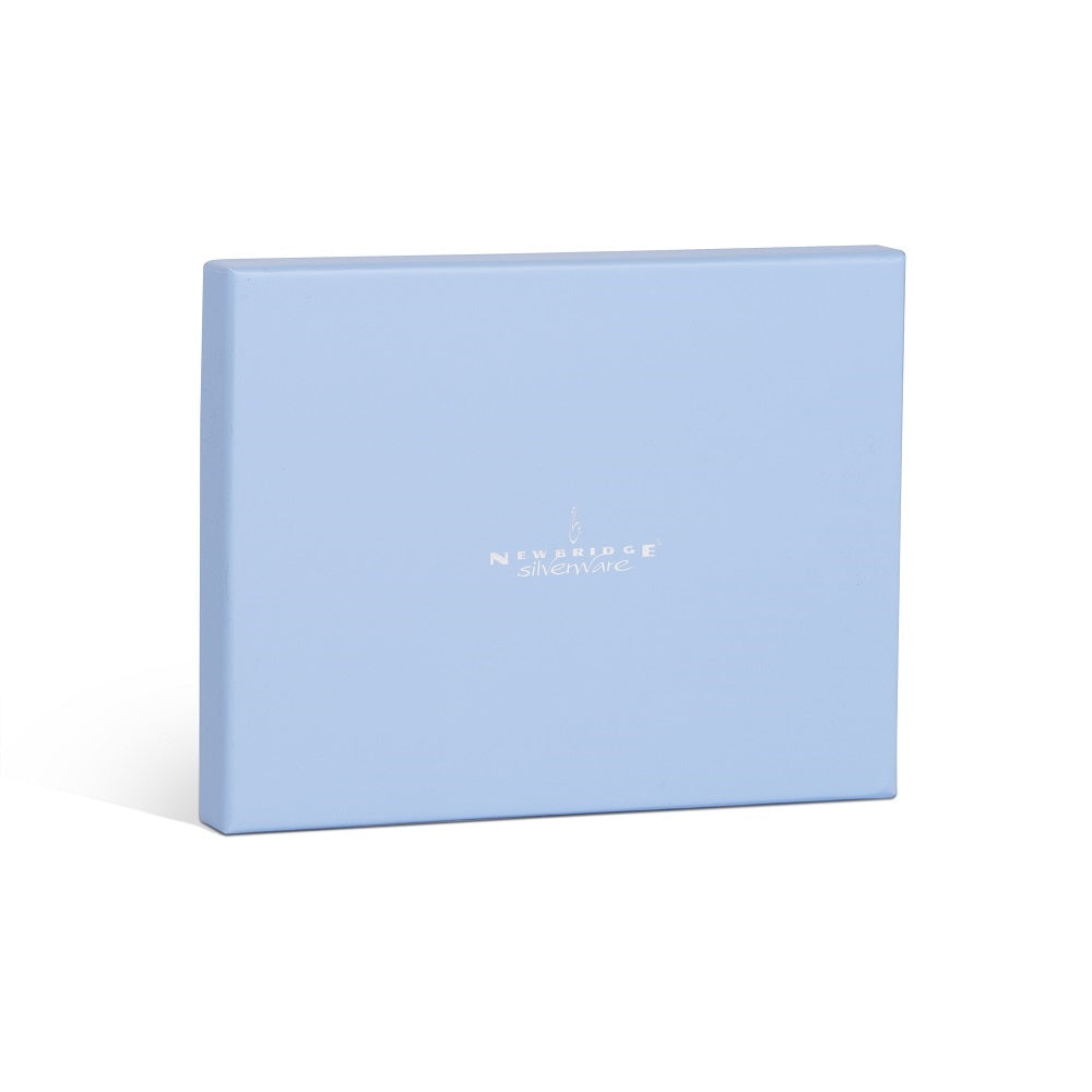 Newbridge Silverware Teddy Bear Baby Frame 4x6inch