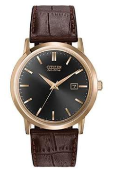 Citizen Eco Drive Watch Barnes Jewellers