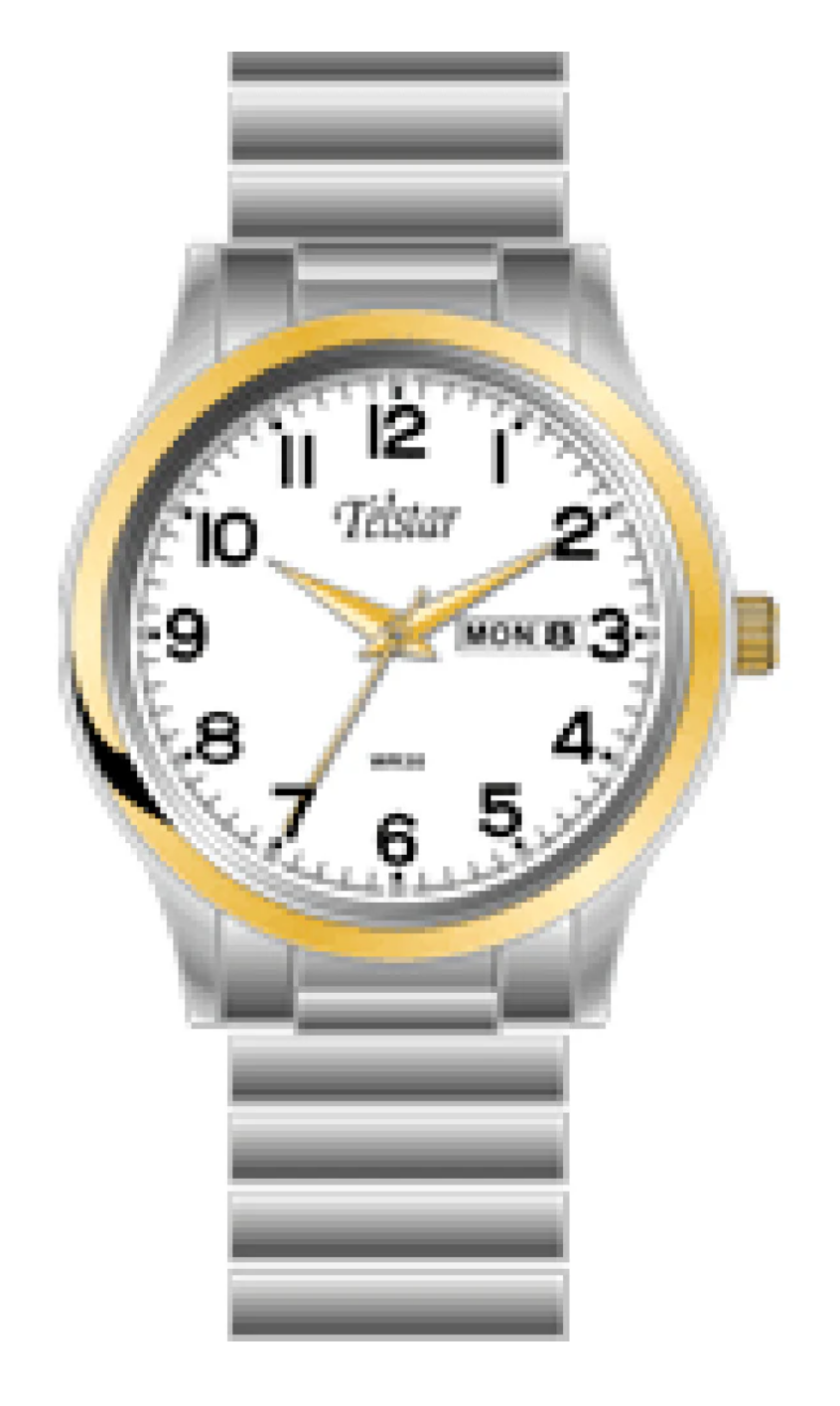 Telstar Men's Steel Two Tone White Expander Watch