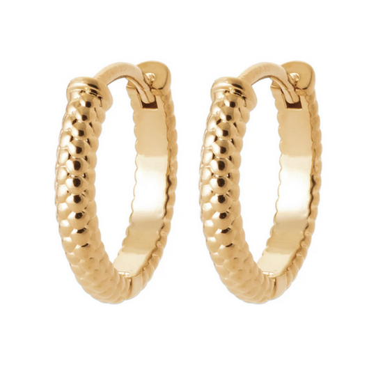 Burren Coiled Earrings