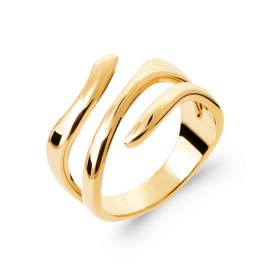 Burren Vine Twist Ring