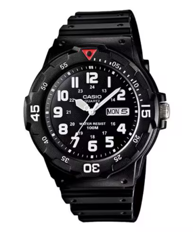Casio Standard Collection Watch