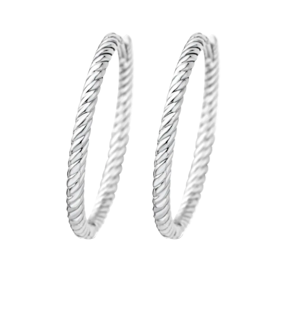 Moments Earrings