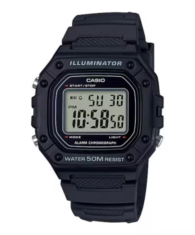 Casio Standard Watch