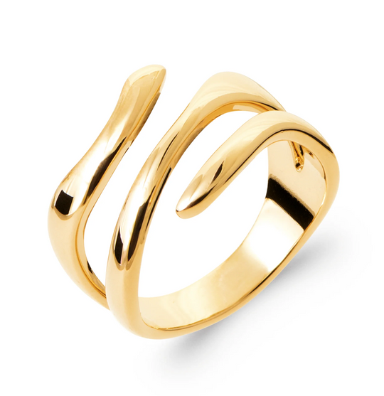 Burren Vine Twist Ring