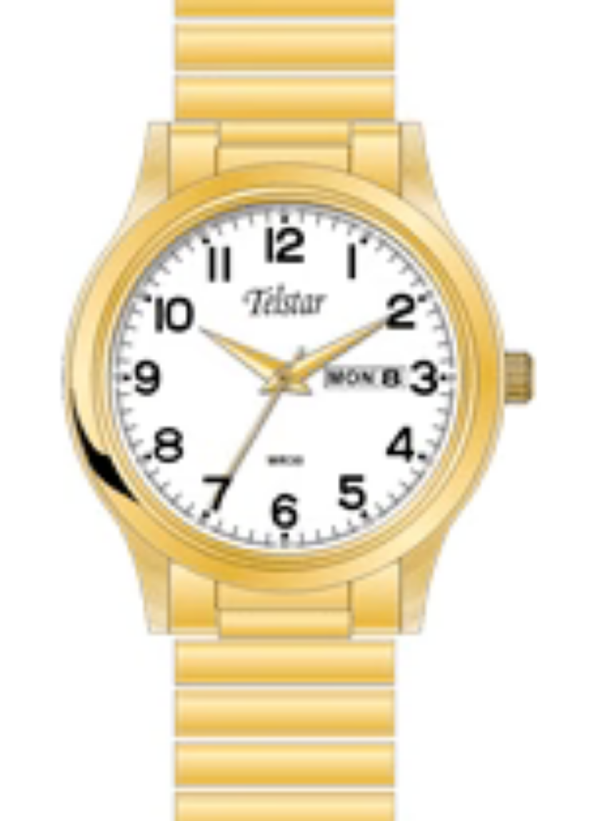 Telstar Gents Gold Plated Expanding Bracelet Watch