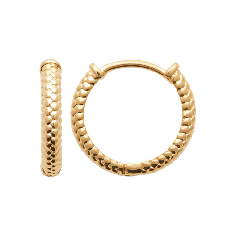 Coiled Earrings (M)