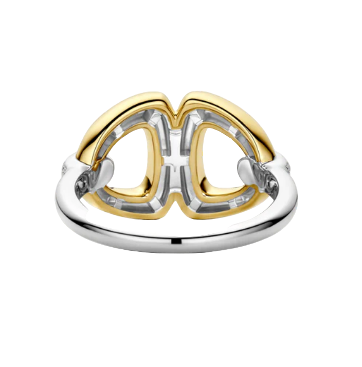 Ti Sento Milano Two Tone Ladies Ring