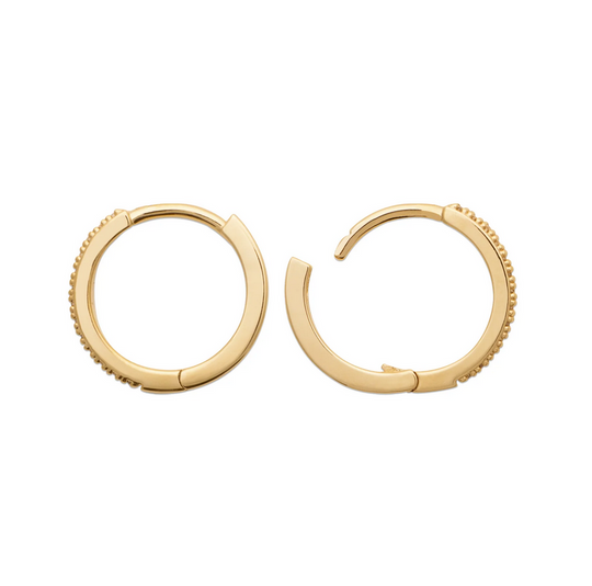 Burren Don't Believe The Hype Earrings