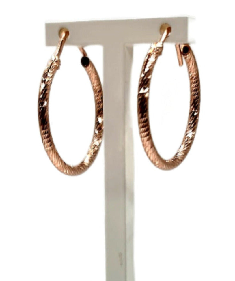 Fraboso Gold Plated Round Earrings