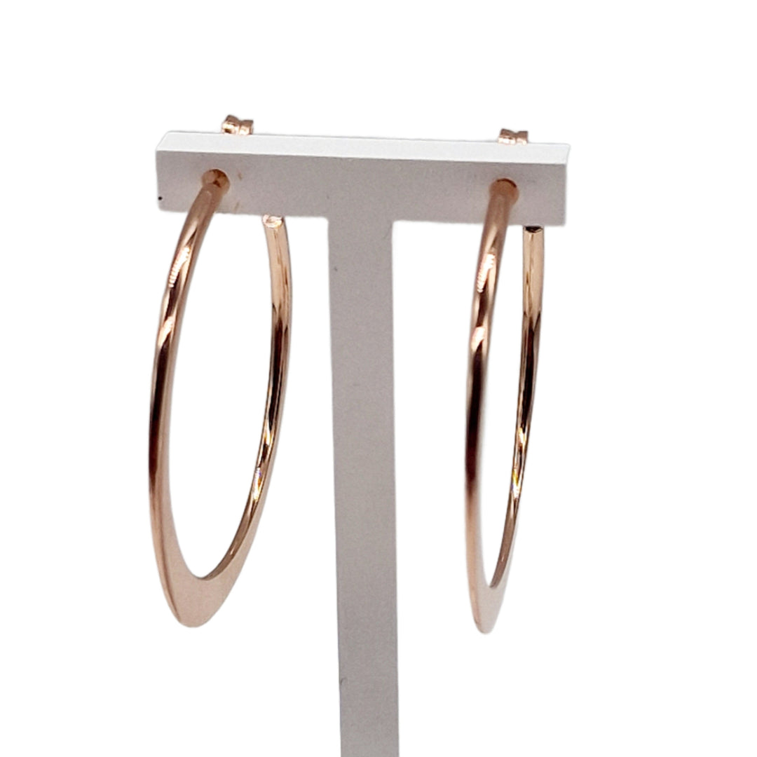 Hoops Earrings