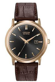Citizen Eco Drive Watch
