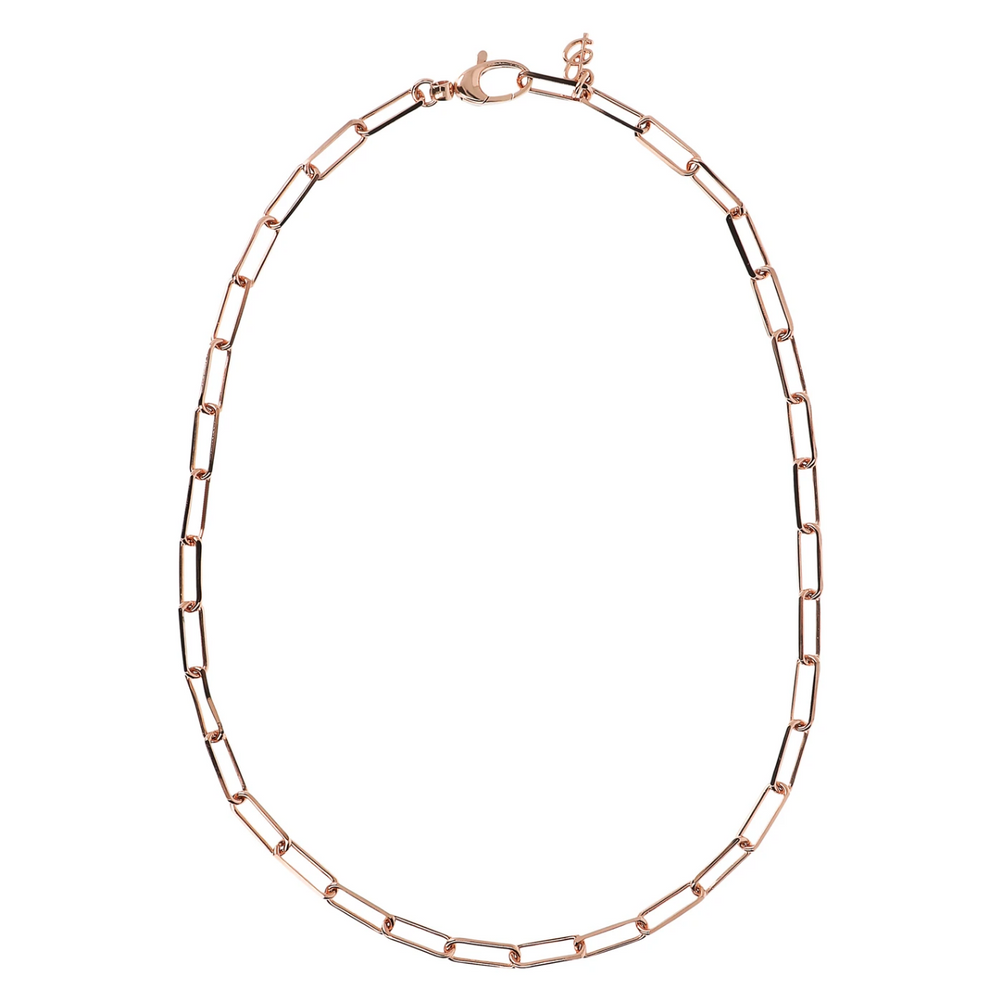 Paperclip Necklace With Elongated Forzatina Chain
