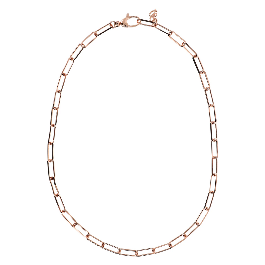 Paperclip Necklace With Elongated Forzatina Chain