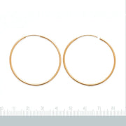 Hoop Earrings