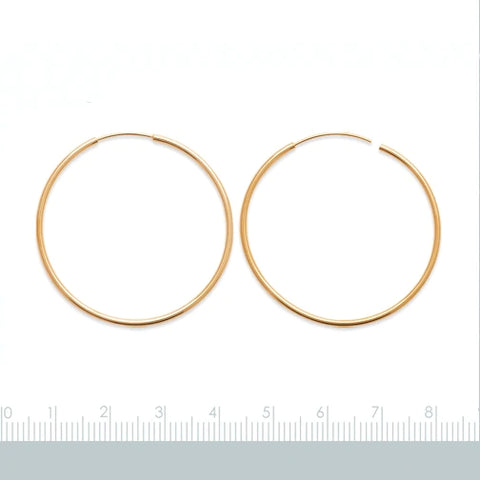 Hoop Earrings