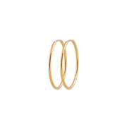 Hoop Earrings