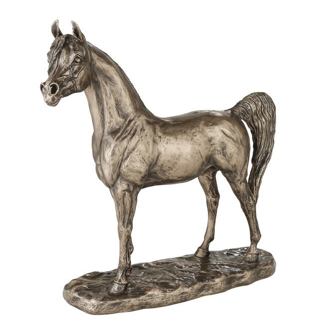 Genesis Arab Stallion Large